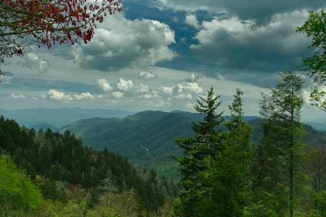 Great Smoky Mountains National Park