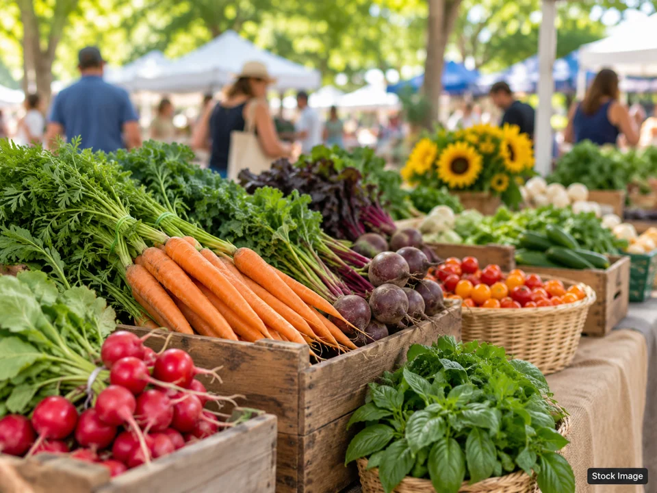 Roam Wild Market: Farmers & Artisan Markets in St. George, Utah (farmers market scene)