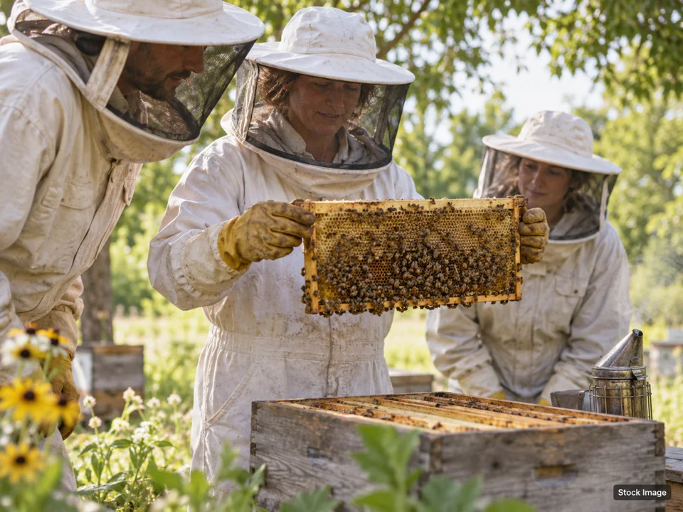 Homesteading & Prepping Summit 2027: Beekeeping, Homesteading & Self-Reliance Expos in Elkton, Florida (beekeeping scene)