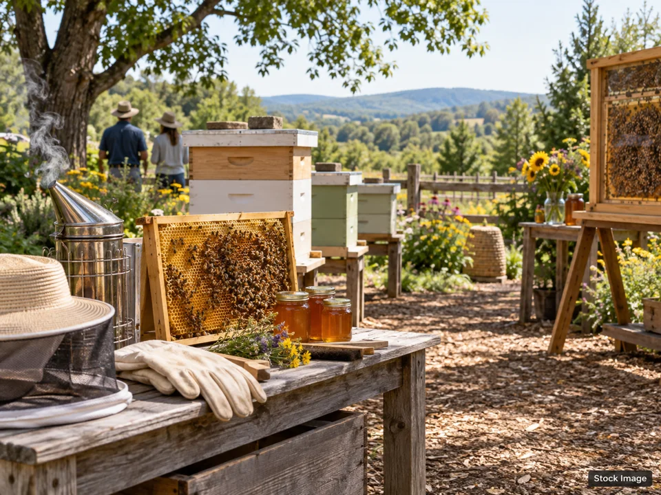 Homestead Freedom Festival 2027: Beekeeping, Homesteading & Self-Reliance Expos in Paris, Illinois (beekeeping scene)